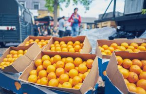 Iranian Fruit Export