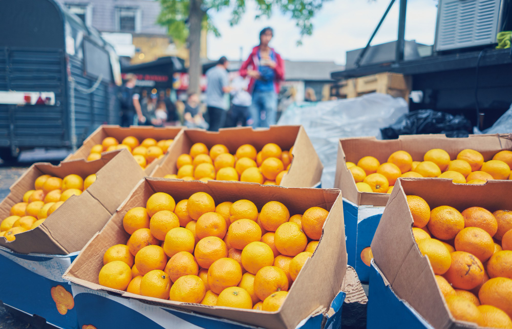 Iranian Fruit Export